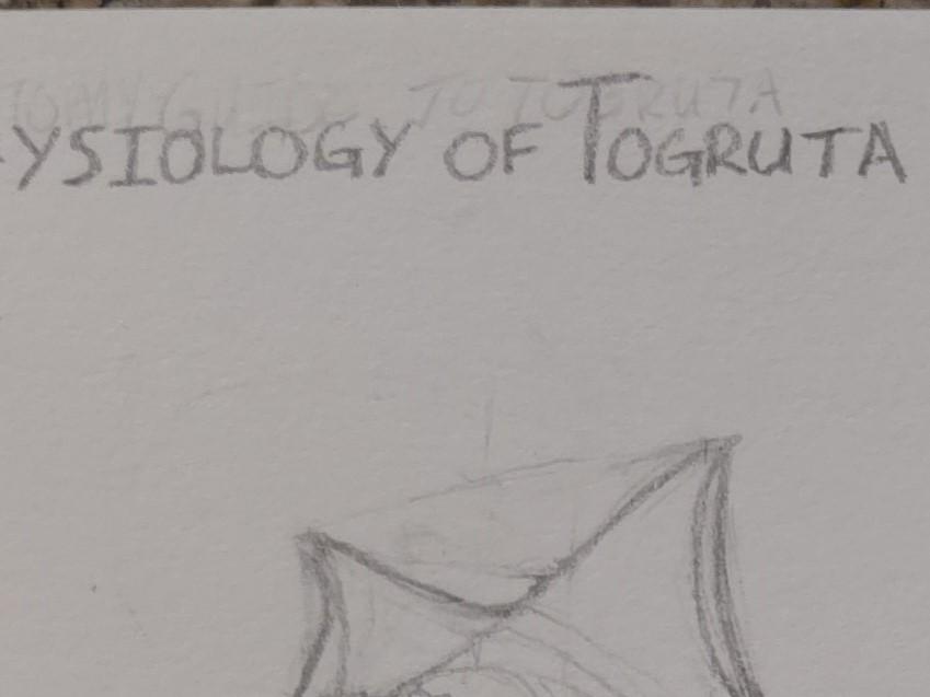 Photo of sketchbook page taken with the Pro photo mode on my cellphone.