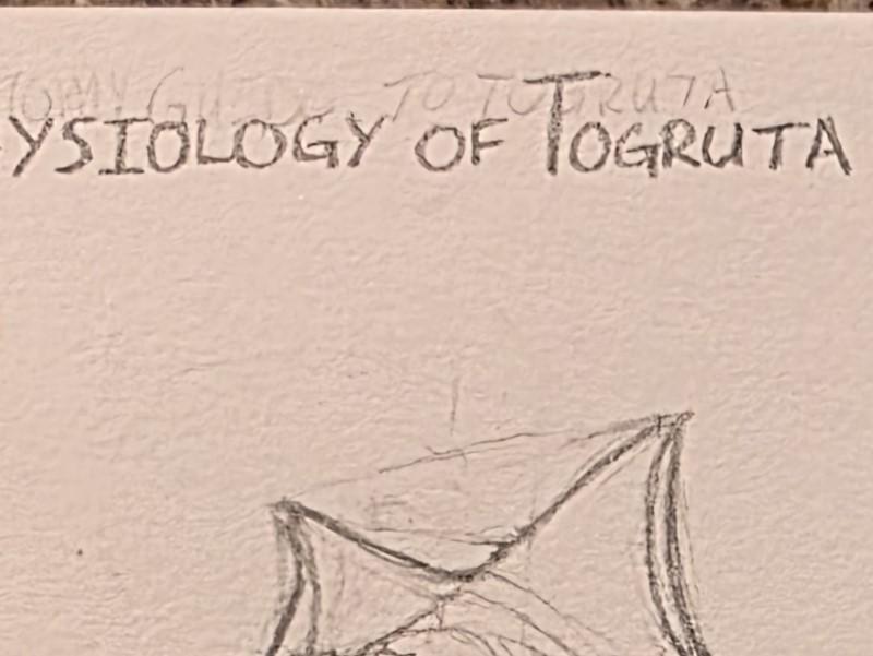 Photo of a sketchbook page taken with the standard photo mode on my cellphone.